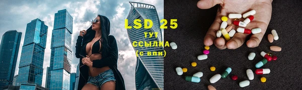 ECSTASY Лагань