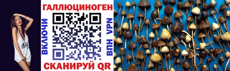 Галлюциногенные грибы мицелий  где продают наркотики  Крым 